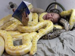 Dono de zoológico dorme com várias cobras em sua cama