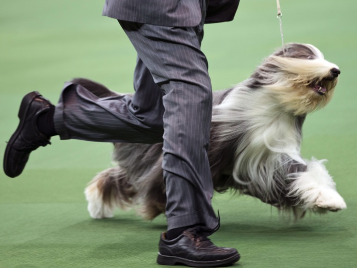 Frank Franklin II/AP