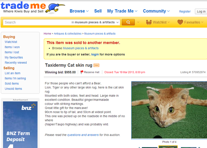 Pele de gato morto vendida na rede causou polêmica na Nova Zelândia (Reprodução/Trade Me) trademe