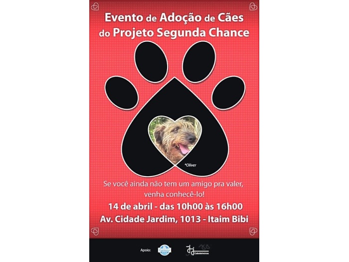 S&atilde;o Paulo recebe feira de ado&ccedil;&atilde;o de c&atilde;es e gatos no pr&oacute;ximo ...