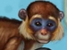 Cuide desse lindo macaquinho em visita rápida ao petshop