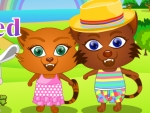 A gatinha Sisi quer namorar escondido