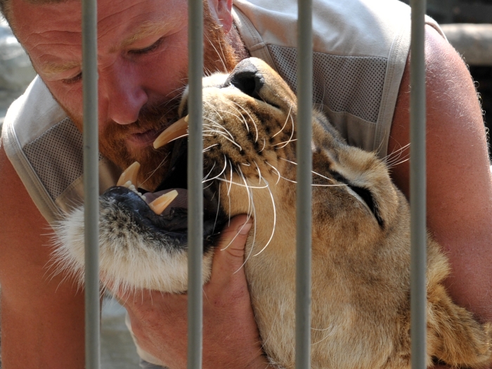 Ucraniano na jaula com leões