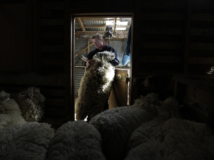 Stefan Wermuth/Reuters