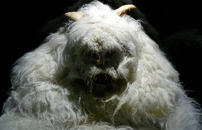 yeti-starwars-hg