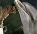 Se os animais pudessem falar, o que eles diriam?