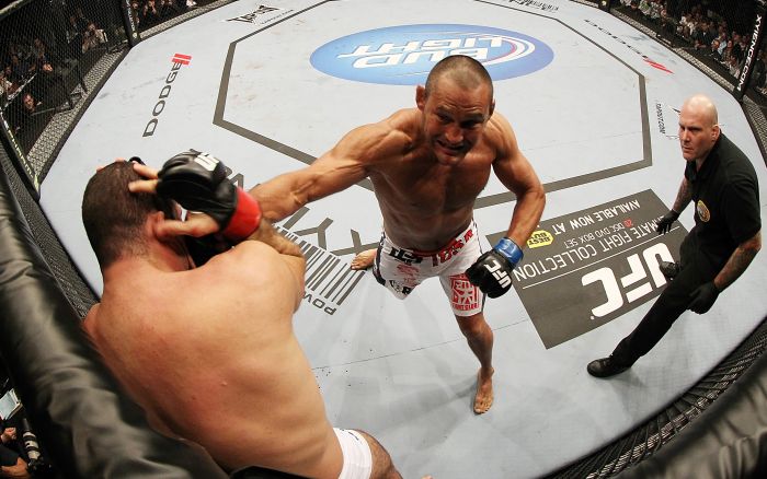 mma-ufc-henderson-shogun-hg-20111120.jpg