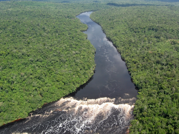 Florestal Amazônica