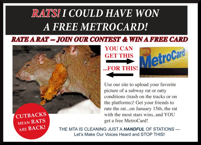 rate-my-rat