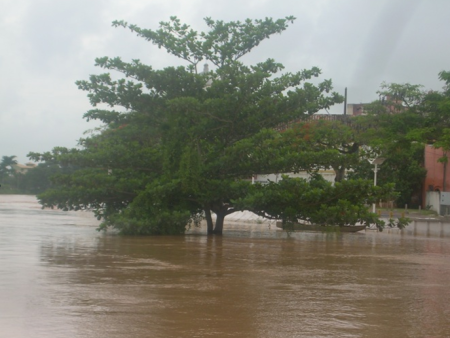 campos