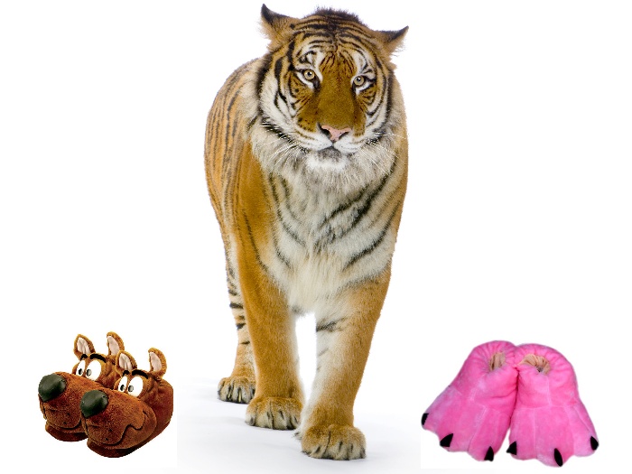 tigre