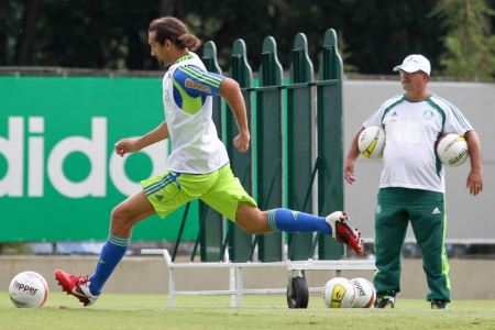 Barcos Palmeiras 450