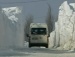 Frio intenso já matou mais de 600 e pode piorar