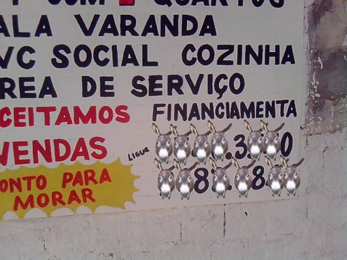 Enviada por Gabriela Luz