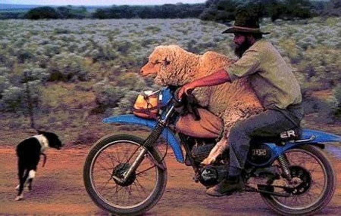 Os motoqueiros mais sem- no&ccedil;&atilde;o do mundo! - Foto 1 - Esquisitices ...