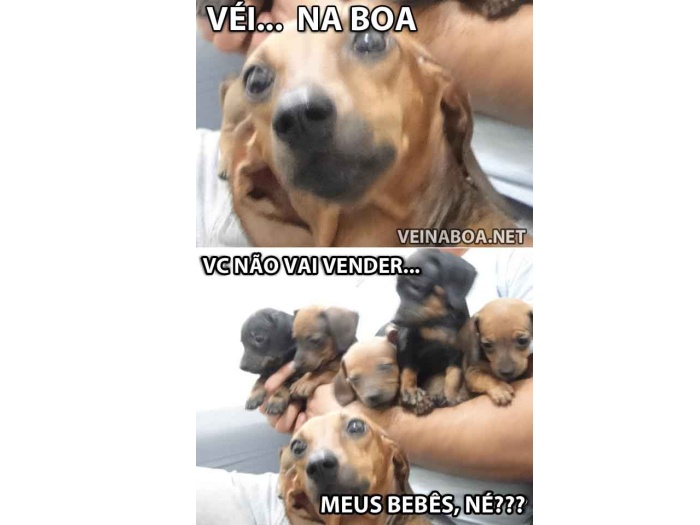 Reprodução/Facebook