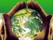 Saiba mais sobre o dia internacional da biodiversidade