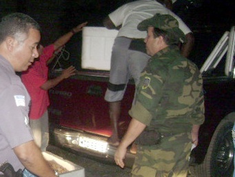 Polícia Ambiental apreende camarão