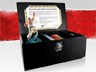 "Street Fighter" faz 25 anos e ganha kit especial