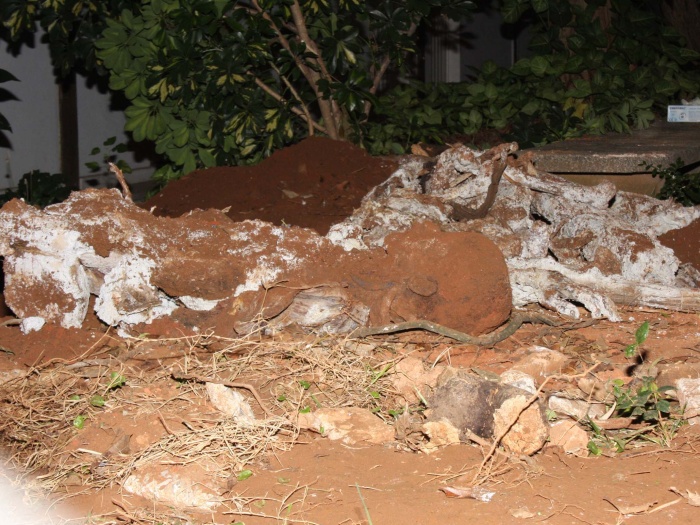 Pol&iacute;cia encontra ossada em terreno de faculdade - Not&iacute;cias - R7.com