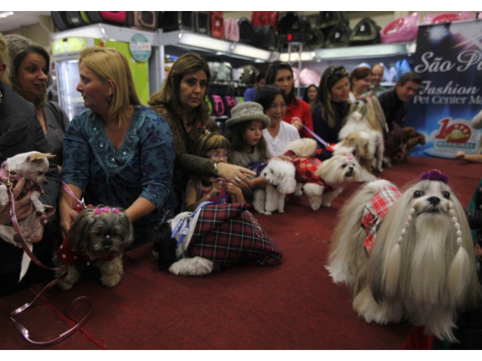 Cachorrada mostra estilo no desfile S&atilde;o Paulo Pet Week - Foto 1 ...