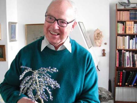 hans blix, casa, árvore, 450