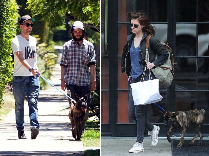 Pattinson e Stewart com pet