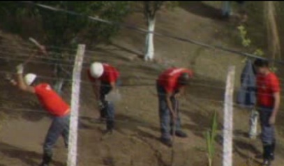 Bombeiros come&ccedil;am escava&ccedil;&atilde;o em s&iacute;tio onde estaria enterrada a ...