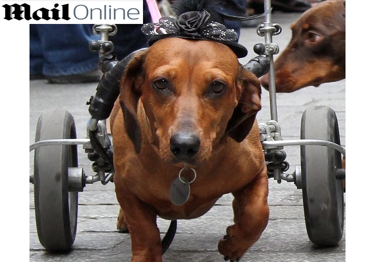 Reprodução/Mail Online