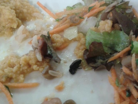 Estudante encontra inseto misturado a salada no Restaurante ...