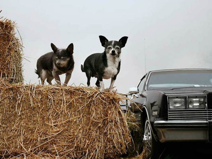 BBC/Nancy Levine