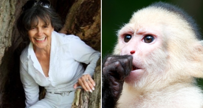 Conhe&ccedil;a crian&ccedil;as que foram criadas por animais - Not&iacute;cias - R7.com