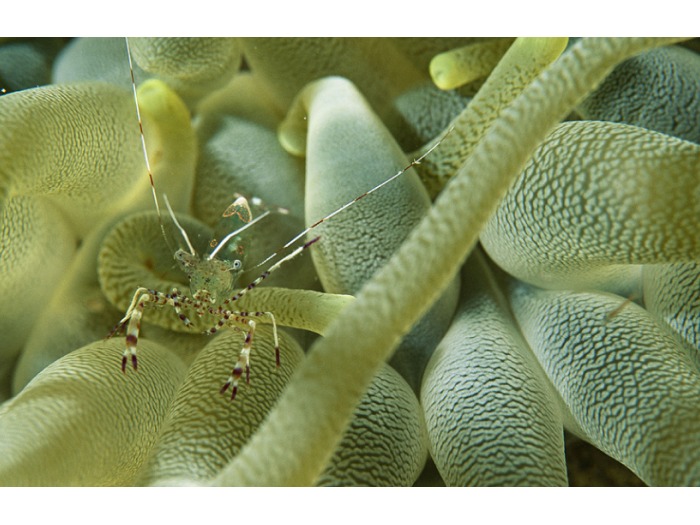 John Cancalosi/Nat Geo Stock/Caters News