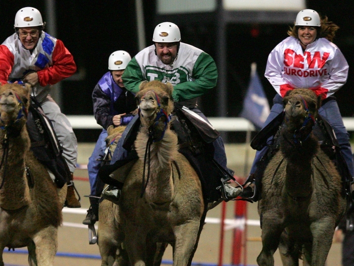 Esporte Bizarro: Corrida de camelo &eacute; tradi&ccedil;&atilde;o nos pa&iacute;ses &aacute;rabes ...