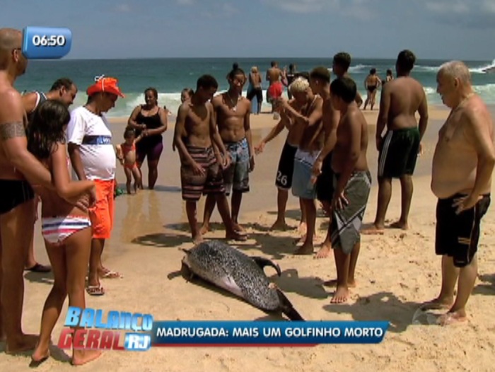 Golfinho aparece morto na praia do Leblon - Rio de Janeiro - R7