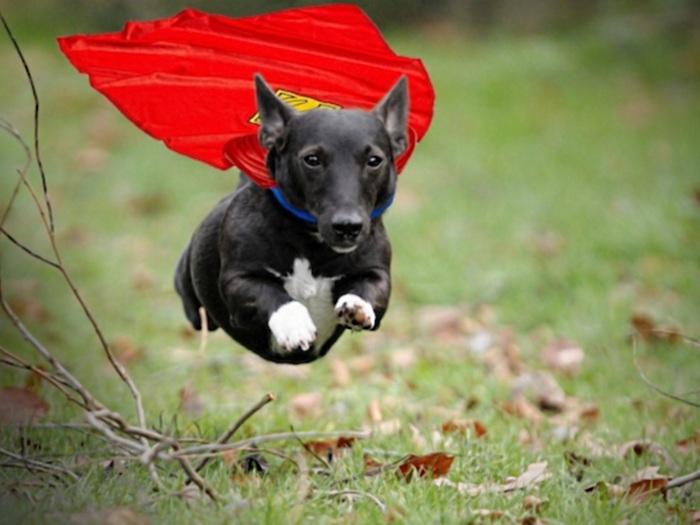 Reprodução/ Fun Links Daily