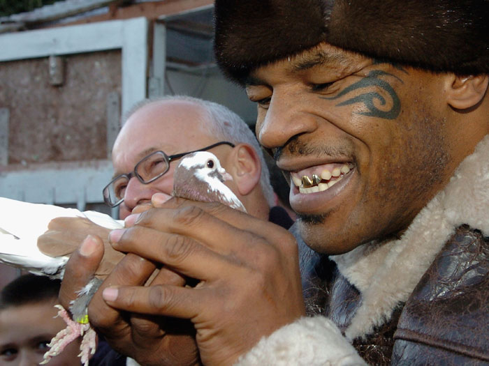 Ex de Tyson teria cozinhado e comido pombo de ex- pugilista na ...