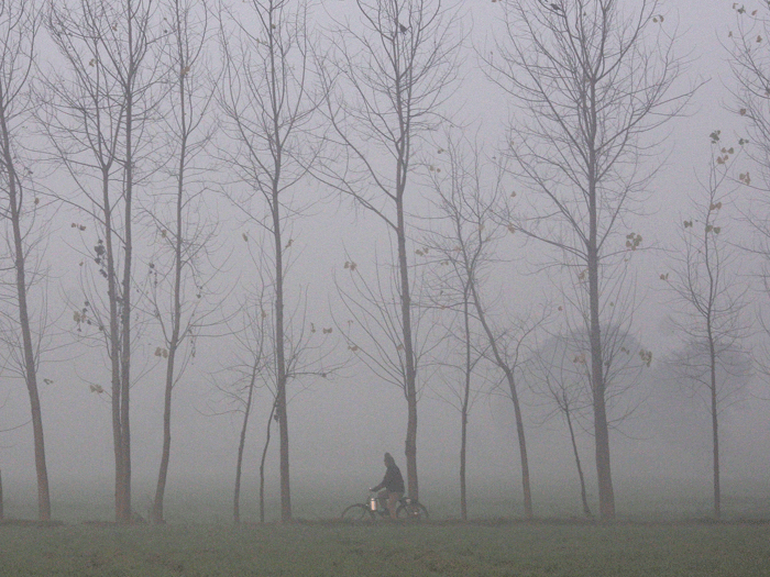 india_neblina_mt_reuters_20100601.gif